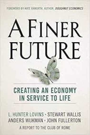 A Finer Future by Hunter Lovins